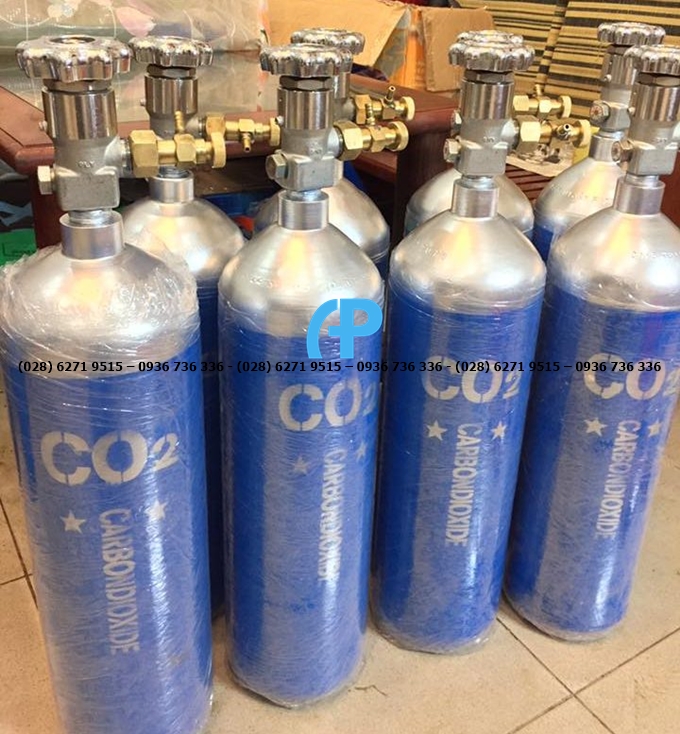 Gia-vo-binh-chua-co2-6
